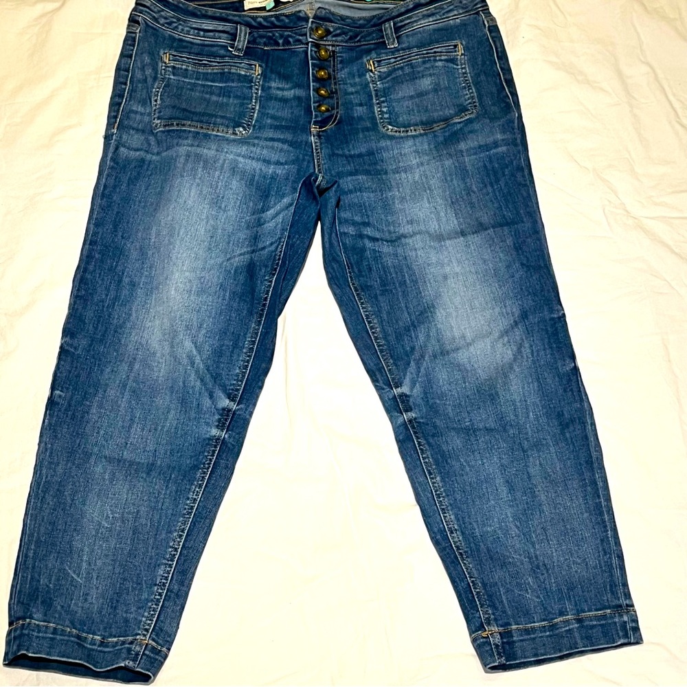 Anrhropologie Pilcro High Rise Slim  stretch demin Waist 19 1/2 in | Inseam 26